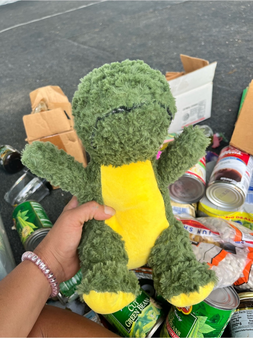 Skin Green and Yellow Plush Turtle Stuffed Animal